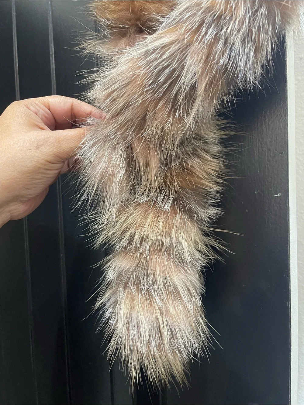 Fox Scarf